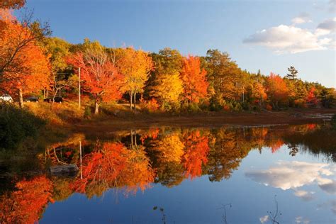 East Coast Fall Foliage Self-Guided Driving, Walking Tours Bundle