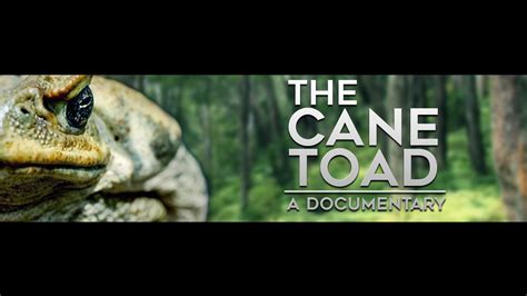 The Cane Toad: A Documentary | 2016 - YouTube