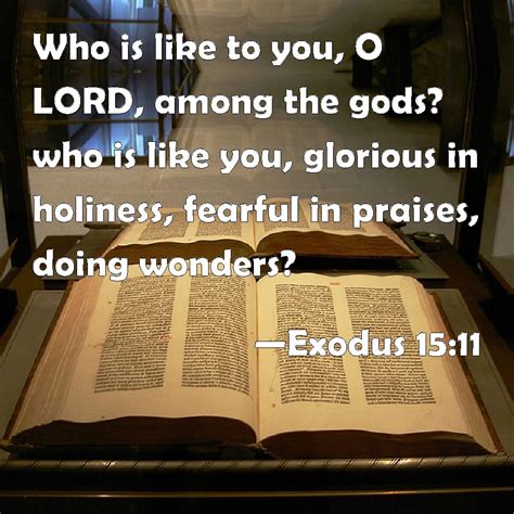 Exodus 15:11 Who is like to you, O LORD, among the gods? who is like you, glorious in holiness ...