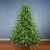Last Minute Instant Christmas Tree | The Green Head