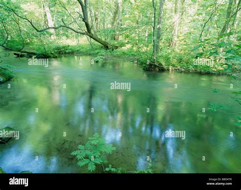 River and Woods Stock Photo - Alamy