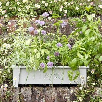 Window Box Herbs | Herb planters, Window box, Garden storage