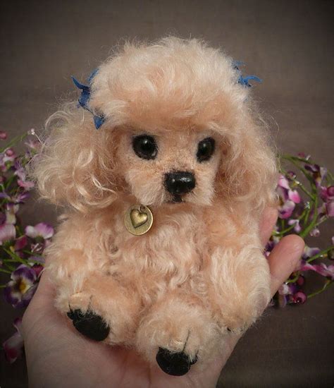 mill-creek-creations | Baby Palm Puppies | Poodle dog, Poodle puppy, Cute dogs