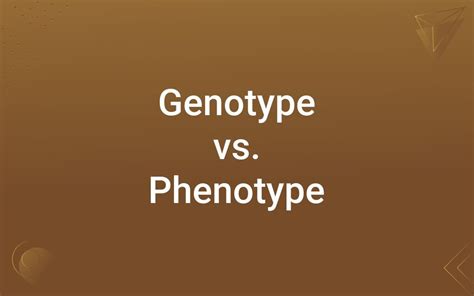 Genotype vs. Phenotype – Difference Between