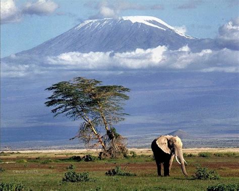 Amboseli National Park, Kenya | Wonders of the world, Kilimanjaro, Africa safari