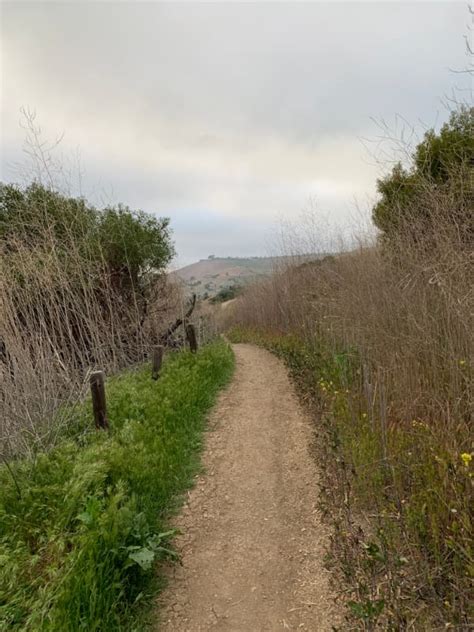 Portuguese Bend Reserve: Hike South Bay