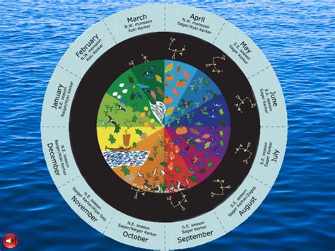 Aboriginal Seasons Wheel