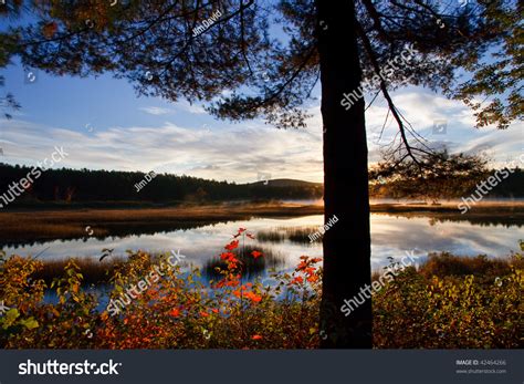 Autumn Sunrise Over Lake Stock Photo 42464266 : Shutterstock