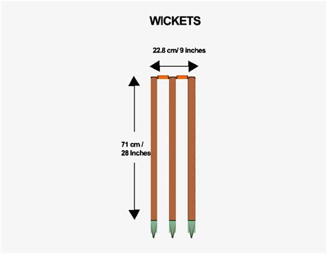 Download Details Of Cricket Stumps - Afvalbakken - HD Transparent PNG - NicePNG.com