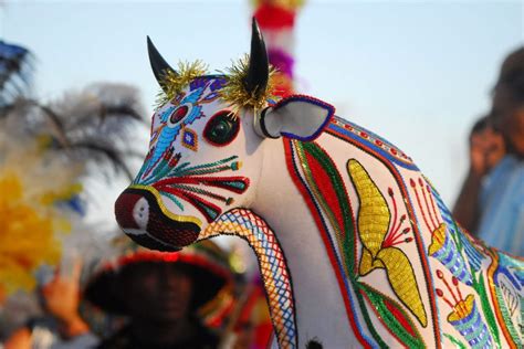 Bumba Meu Boi do Maranhão se torna Patrimônio Cultural da Humanidade ...