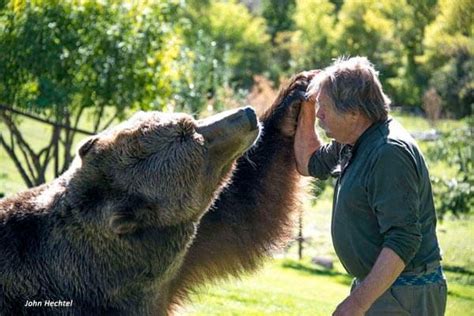 Bart the Bear II - Grizzly bear conservation and protection