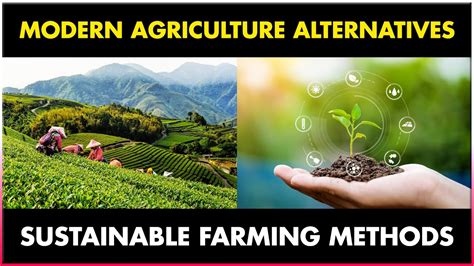 Modern Agriculture Alternatives | Sustainable Agriculture Methods and Farming Practices - YouTube