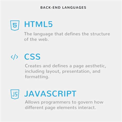 A Programmer's Best Friends: The Most Useful Languages for Web Development