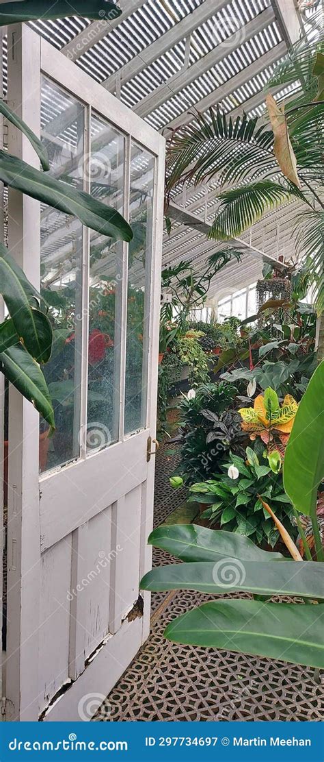 Interior of a Large Victorian Greenhouse. Stock Image - Image of interior, glasshouse: 297734697