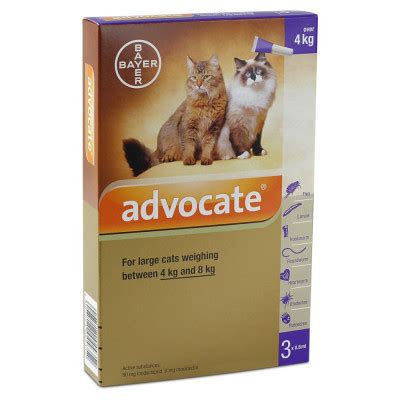 Buy Advocate Spot On Large Cat (4-8kg) – pack of 3 Online ...