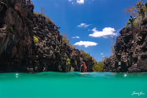 Galapagos Adventure with Galapagos Exclusive Tours — Sarah Lee Photo