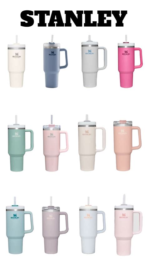 Stanley cups in 2023 | Trendy water bottles, Cute cups, Cute coffee cups