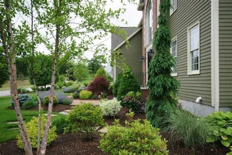 Plantings. Hillside Nurseries, Franklin, MA. 508.528.0038. | Backyard landscaping, Landscape ...