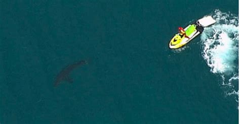 Surfer killed in shark attack off eastern Australia - Virgin Radio Dubai