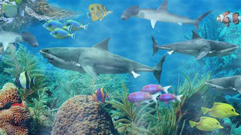 Shark aquarium live wallpaper for PC / Mac / Windows 7.8.10 - Free ...