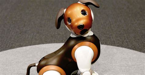 Robot Dogs Can Help Seniors Cope—Especially During Covid | WIRED