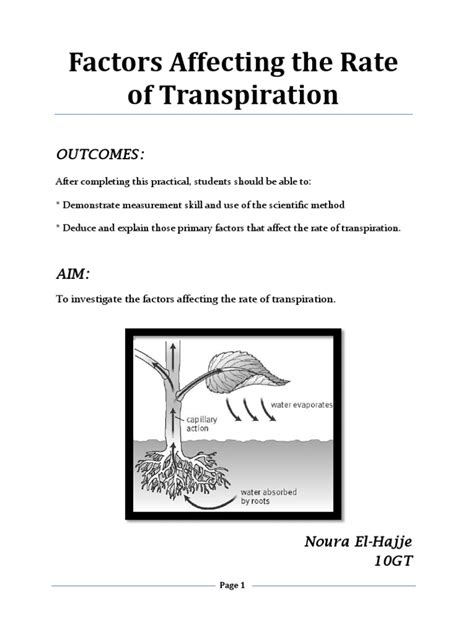 Factors Affecting the Rate of Transpiration: Outcomes