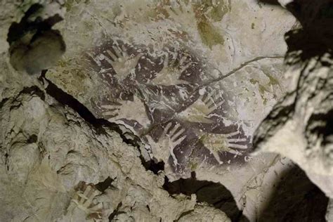 Oldest cave paintings of animal discovered in Indonesia | Star Mag