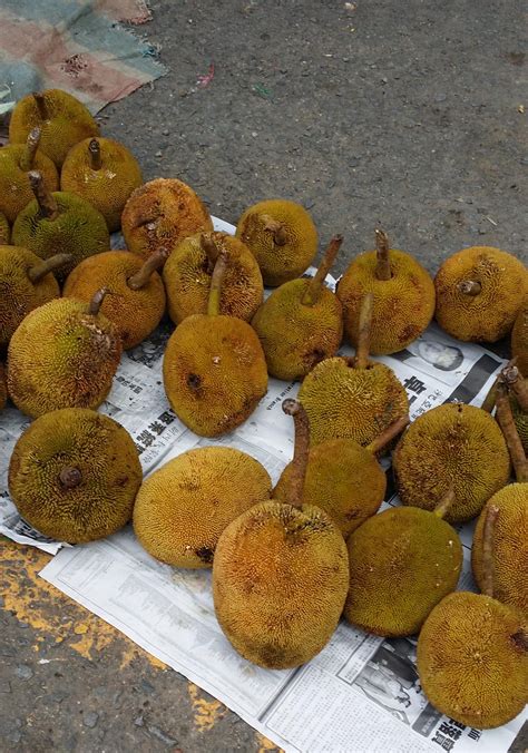 Tarap- a fruit indigenous to Borneo & the Southern Phillippines. Related to Jackfruit, Chempedak ...