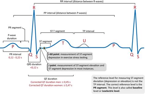 Thai Knows: ekg คือ