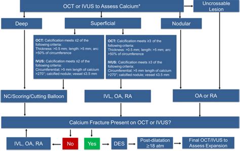 Algorithmic approach for optimal treatment of calcified coronary ...