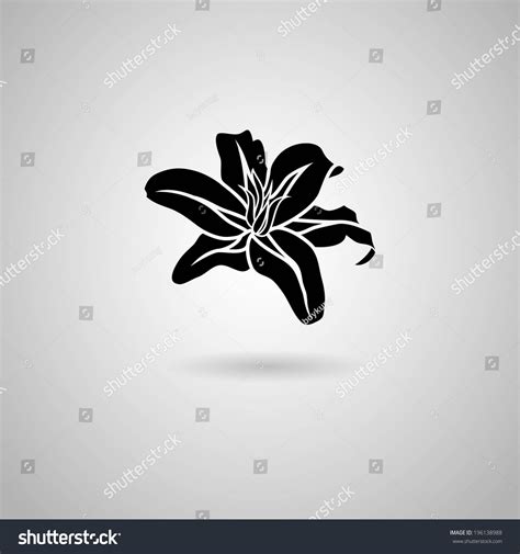 Lily Flower Vector Illustration Stock Vector (Royalty Free) 196138988