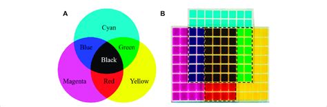 Subtractive primary color system. (A) Schematic diagram of three... | Download Scientific Diagram