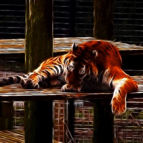 Fractalius Tiger Animation by megaossa Animals Images, Animals And Pets, Gifs, Lion Tigre, Baby ...