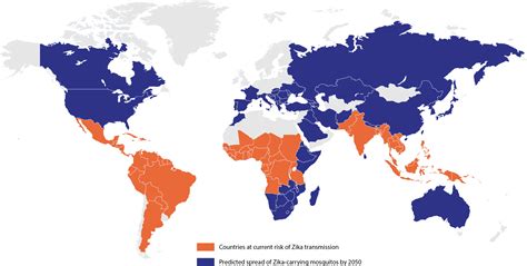 Why We Need New Diagnostics for the Zika Virus - The Native Antigen Company