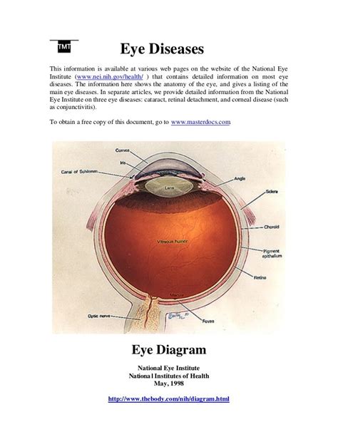 Eye Diseases