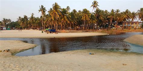 Colva Beach Goa, India (Location, Activities, Night Life, Images, Facts ...