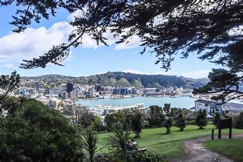 Mount Victoria Lookout: How to Get the Best Views of Wellington