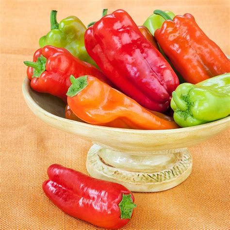 Cubanelle Pepper: Sweet and Mild with Rich Flavor | Stuffed peppers, Stuffed sweet peppers ...