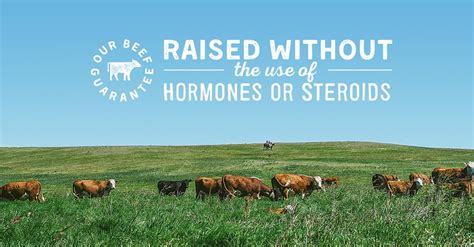 Beef raised without hormones or steroids - A&W Guarantee