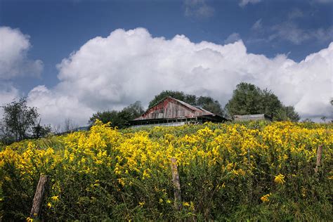 Powell Valley Scene Photograph by Earl Carter