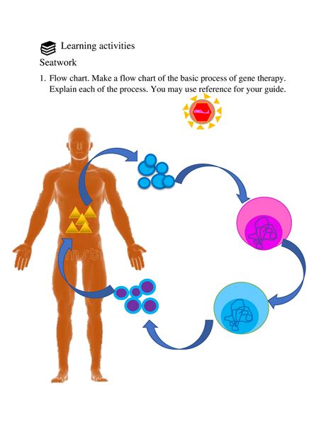 Gene terapy - Make a flow chart of the basic process of gene therapy. Explain each of the ...