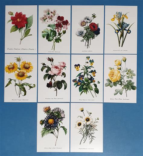 Set of 10 NEW Flowers Postcards set 1 for Postcrossing & - Etsy UK