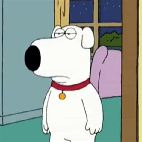 The 25+ Best Brian Griffin Quotes in Family Guy History