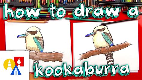 How To Draw A Kookaburra - YouTube