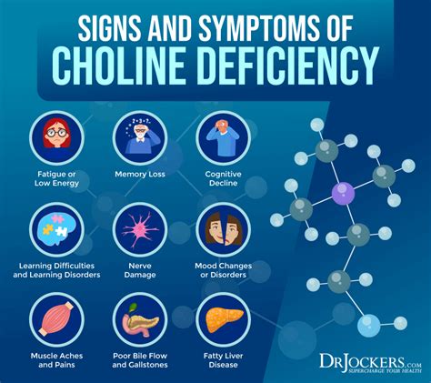 Choline: Signs of Deficiency, Benefits, and Food Sources - DrJockers.com