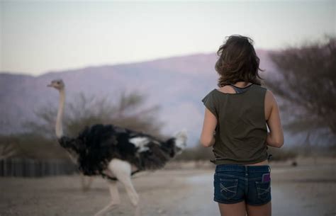 The Desert Animals of Israel - Wildlife Habitats of the Holy Land