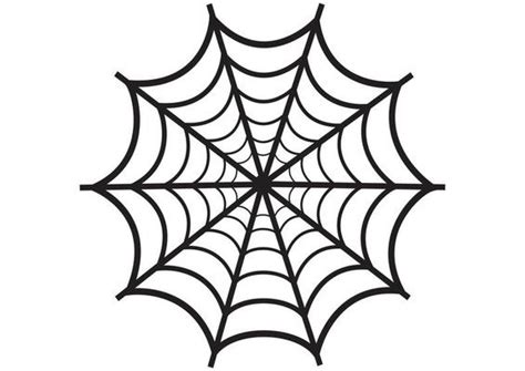 Spider Web Vector Art, Icons, and Graphics for Free Download