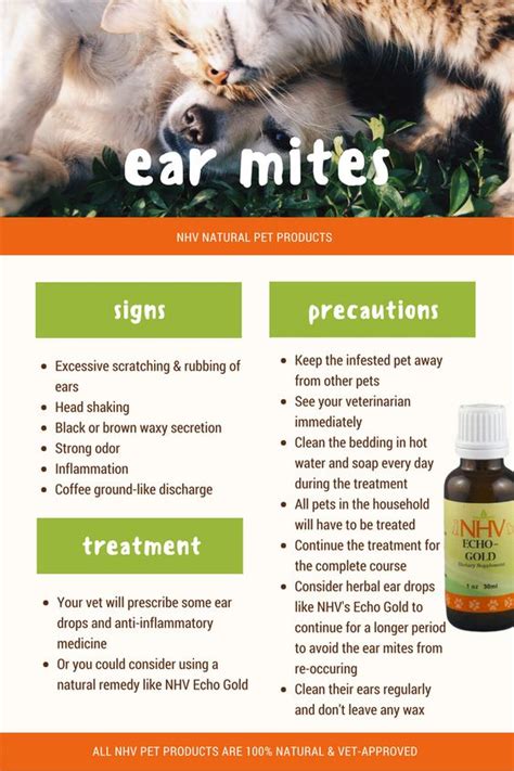 Can Humans Catch Ear Mites From Pets - Pets Retro