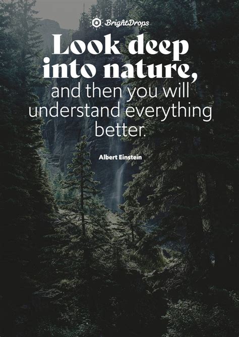 Top Inspirational Quotes About Life And Nature Don t miss out ...