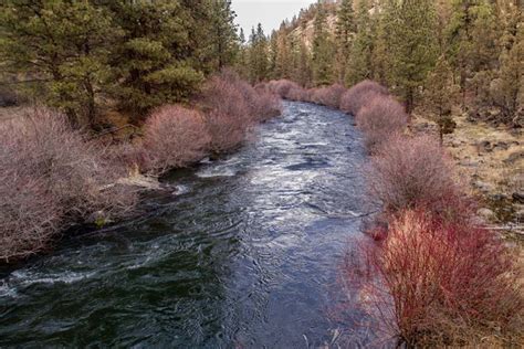 14 Best Hiking Trails Near Bend, Oregon - Territory Supply